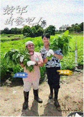 青苹果乐园